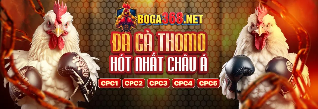 Cá cược bóng đá